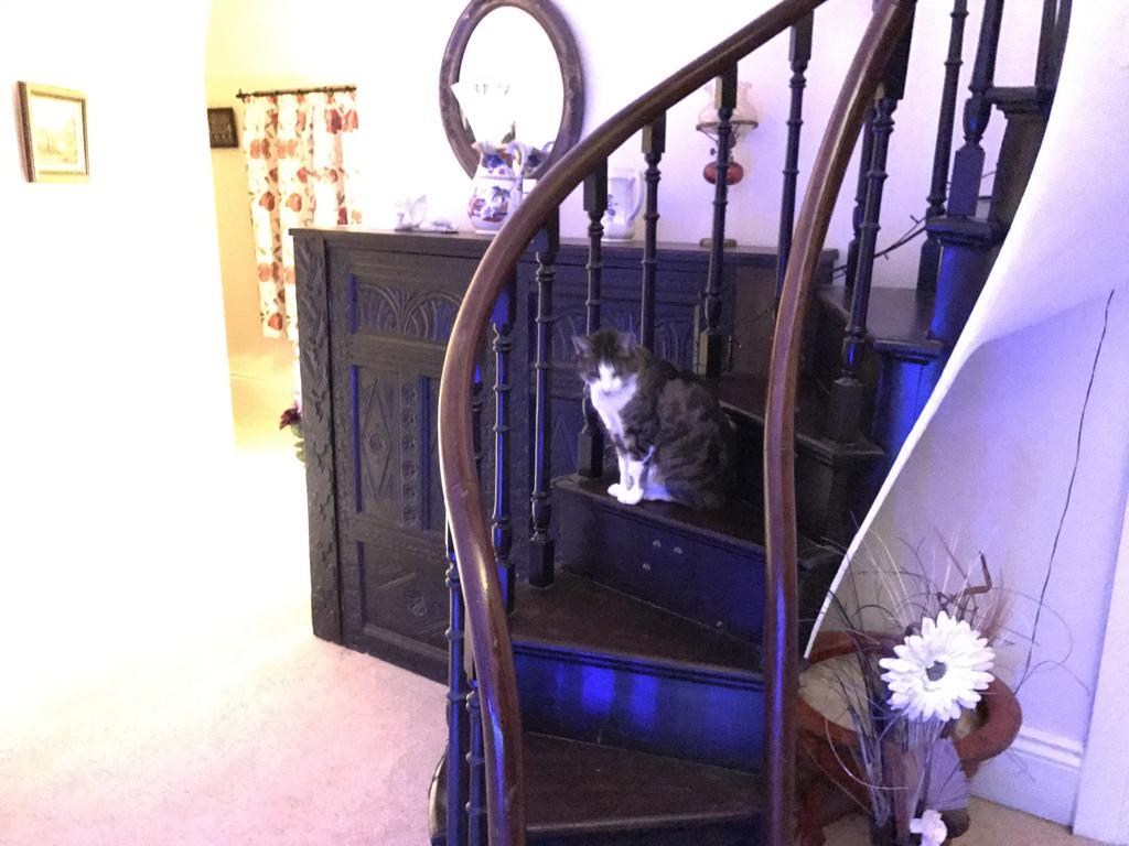 The Priory B&B Whitchurch  エクステリア 写真